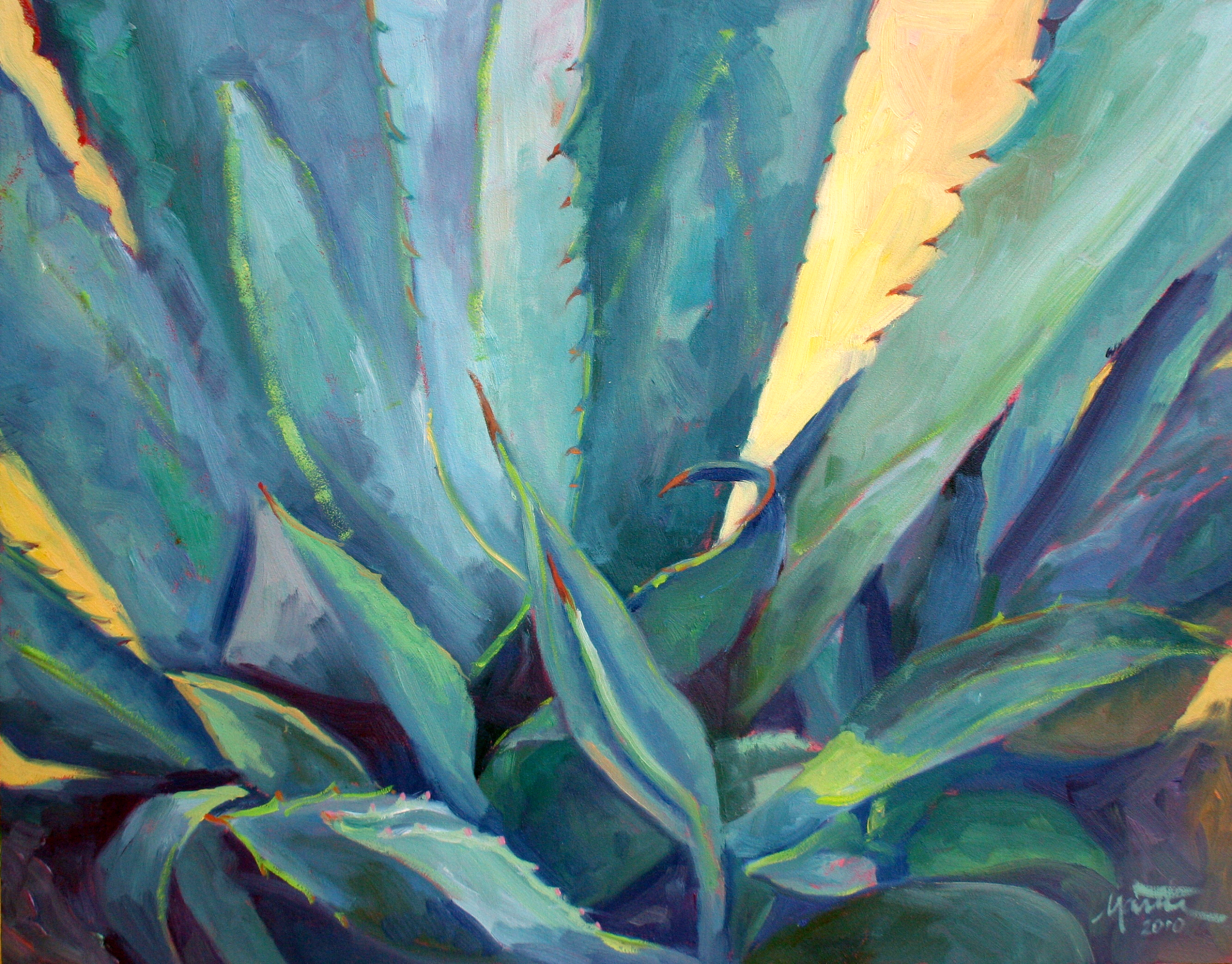 New Blue Agave